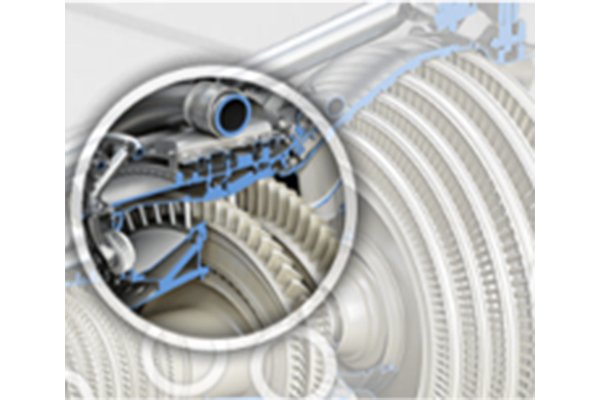 Liderlik Ekibinin Önceki Deneyimleri